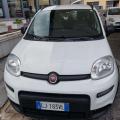 usato FIAT Panda