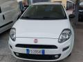 usato FIAT Punto