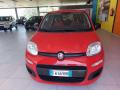 usato FIAT Panda