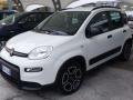 usato FIAT Panda