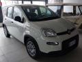 usato FIAT Panda