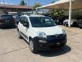 usato FIAT Panda