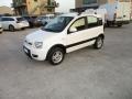 usato FIAT Panda