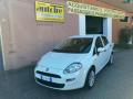 usato FIAT Punto