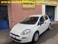 usato FIAT Punto