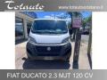 usato FIAT Ducato