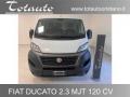 usato FIAT Ducato