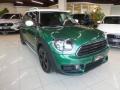 usato MINI Countryman