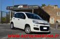 usato FIAT Panda