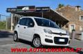 usato FIAT Panda