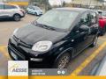 usato FIAT Panda