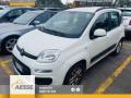 usato FIAT Panda