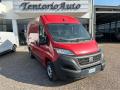 usato FIAT Ducato