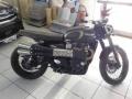 usato TRIUMPH Street Scrambler 900