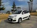 usato FIAT Panda