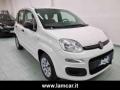 usato FIAT Panda