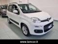 usato FIAT Panda