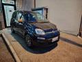 usato FIAT Panda