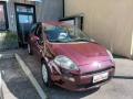 usato FIAT Punto