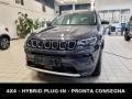 usato JEEP Compass