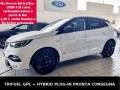 usato OPEL Grandland X