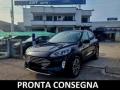 usato FORD Kuga