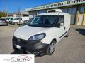 usato FIAT Doblo