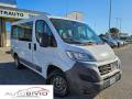 usato FIAT Ducato