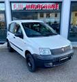 usato FIAT Panda