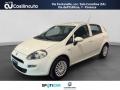 usato FIAT Punto