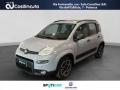 usato FIAT Panda