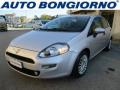 usato FIAT Punto