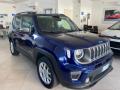 usato JEEP Renegade