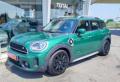 usato MINI Countryman