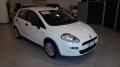  usato Fiat Punto