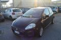  usato Fiat Punto