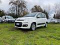 usato FIAT New Panda