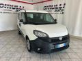 usato FIAT Doblo