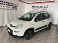 usato FIAT Panda