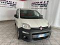 usato FIAT Panda