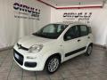 usato FIAT Panda