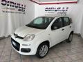 usato FIAT Panda