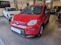 usato FIAT Panda