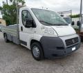 usato FIAT DUCATO CASSONE FISSO