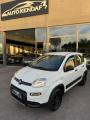 usato FIAT Panda