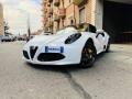 usato ALFA ROMEO 4C