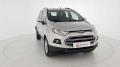  usato Ford EcoSport