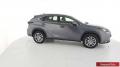  usato Lexus NX