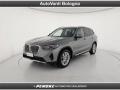 usato BMW X3