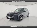 usato BMW X5